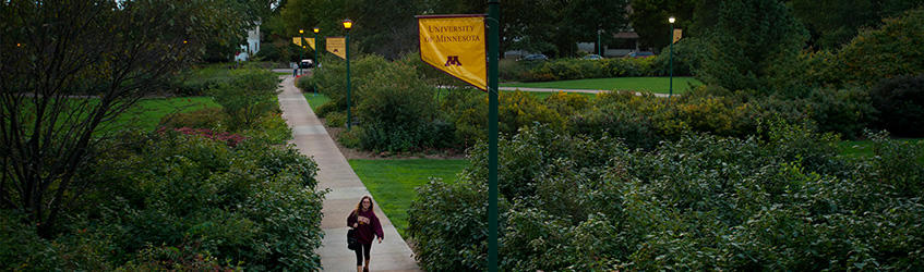 Driven to discover lightpost flags on the St. Paul area of the Twin Cities campus